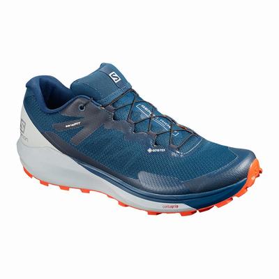 Salomon SENSE RIDE 3 GTX INVIS. FIT - Miesten Polkujuoksukengät - Laivastonsininen